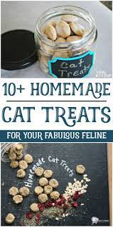 Spoil Your Fabulous Feline With These Homemade Cat Treats Homemade Cat Treats Recipes Cat Treats Homemade Dog Food Recipes
