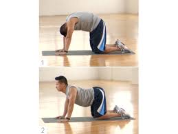 Sit straight up, place hands just above knees if in a wheelchair place. Cat Cow Stretch Men