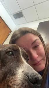 Abigail Cope's Instagram, Twitter & Facebook