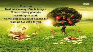 Browse through all of the bible books and chapters to find inspirational bible verse images with beautiful scenic nature backgrounds. Free Bible Verse Wallpapers Wallpaper Cave