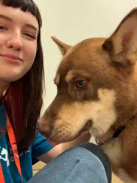 Zoology graduate offering pet sitting services