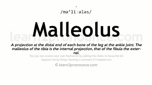 Malleolus — ist die bezeichnung für einen gelenksanteil, siehe knöchel die lateinische bezeichnung für einen brandpfeil. Malleolus Pronunciation And Definition Youtube