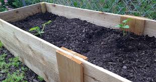 No tilling or digging, just delicious organic vegetables straight from your garden bed. Make These Easy Diy Raised Beds With Instructions Gardener S Path