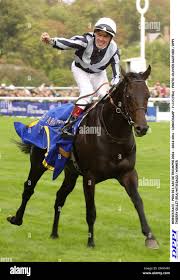 Bago horse hi-res stock photography and images