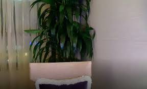 On the left side menu, go to background & filters. 32 Bts Zoom Background Ideas Bts Backgrounds Kpop Backgrounds Bts Wallpaper Desktop