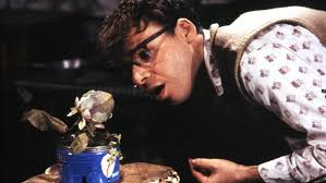 The Ultimate Little Shop of Horrors Trivia Quiz