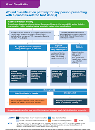 Image result for IDSA Diabetic Foot Wound Classification