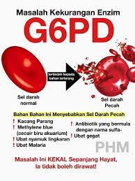 Selain kacang fava, makanan apa lagi yang sebaiknya dihindari oleh penderita g6pd def? Apa Itu Masalah G6pd Yang Klinik Bhajan Medan Gopeng Facebook