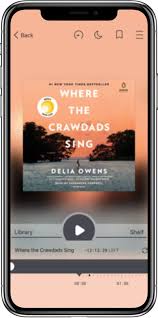 This free audiobook app has a library of 50+ handpicked public domain kids audiobooks. 3 Free Audiobook Apps You Need For Back To School Cool Mom Tech