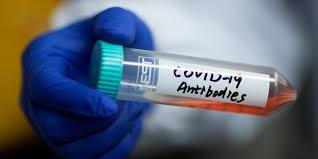 Coronavirus Antibody Treatments Eli Lilly Regeneron Vir Amgen Business Insider