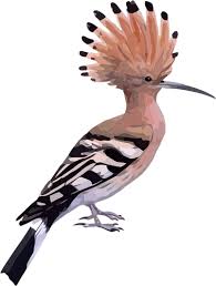Burung coklat, ikon burung, burung, hewan, burung penyanyi, fauna png. 1879 Burung Clipart Gratis Domain Publik Vektor