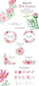 Watercolor Set Pink Cosmos Flowers Cosmos Flowers Watercolor Tattoo Flower Flower Drawing