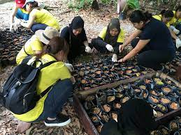 There are many ngo in malaysia that will surely be happy to receive. Volunteer At These 10 M Sian Ngos And Help Save The Environment