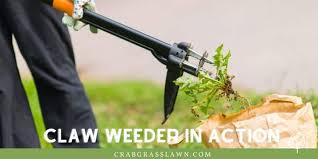 Many lawns will tolerate a chemical spray designed to kill crabgrass, but not all grass varieties are safe. How To Get Rid Of Crabgrass In Lawn Kill It Naturally Or Using Herbicides