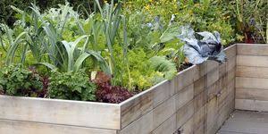 You can tell that the creator had the thought of aesthetics and not just 18. Vegetable Gardening For Beginners Small Vegetable Garden Ideas
