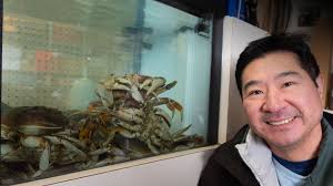 What are your plans for next year?