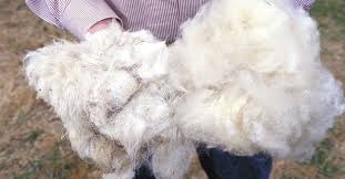 Ruyada Yun Gormek Ne Anlama Gelir Takvim