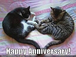 50 Funny Anniversary Memes Gif S And Images The Random Vibez