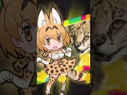 Kemono Friends Festival