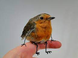 Can I Just Rest Here A Bit Funny Animals Stupid Pictures Cute Birds