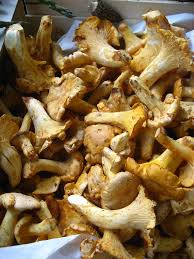 Recettes De Girolles Et De Riz Recette Girolles Recette Risotto Champignons