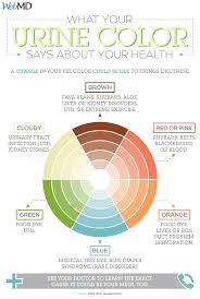 Slideshow What Your Pee Can Tell You About Your Health Prostate Prostate Awareness Kidney Failure Causes