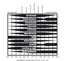 too much too little nutes ph is solid 6 what is happening