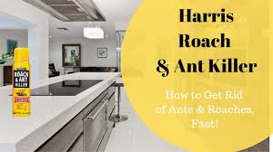 Upper cabinets base cabinets kitchen counter cabinet kitchen reno pull out spice rack home furniture furniture design pan organization pan but this can vary even more based on your size and preferences. Harris Roach Ant Killer Ready To Use Youtube