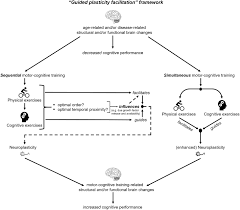 Image result for training effect schema