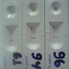Photograph Of Sd Bioline H Pylori Rapid Antibody Test Results Left Download Scientific Diagram