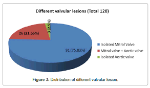 The burden of heart disease. Statistic Of Heart Disease In Malaysia 2017 Cardiovascular Disease