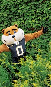 Image result for tbn:kc8eABZg-wZjqM::blog.lib.umn.edu/biomdoc/access_services/cupcake.jpg