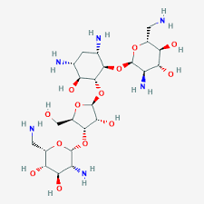 Dose adjustment of pocin h ear drop and monitoring of although pocin h ear drop can be used in patients, it is best that caution is practiced. Polymyxin B Neomycin Hydrocortisone Indication Dosage Side Effect Precaution Mims Malaysia