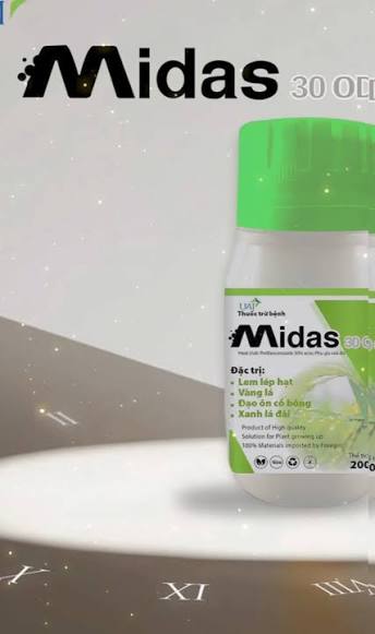 Midas 30OD