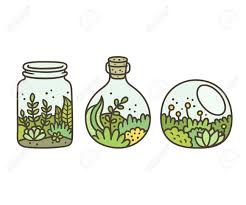 Check spelling or type a new query. Plants In Terrariums Set Moss Succulents And Flowers In Glass Jars Hand Drawn Doodle Style Vector Illustration Royalty Free Cliparts Vectors And Stock Illustration Image 75617432