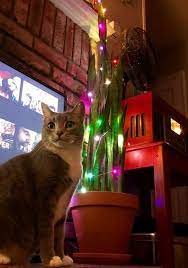 Pin On Diy Home Mood Lights