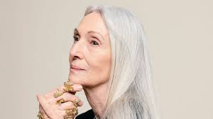 marketing digital archivos