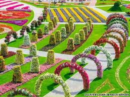 Dubai Miracle Garden The Power Of The Flower Miracle Garden Beautiful Flowers Garden Amazing Landscaping Ideas