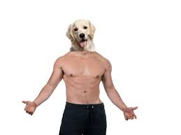 We did not find results for: Dogman Film Review Cannes 17th May 2018 By Jackofarts Medium