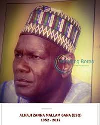 Amazing Borno