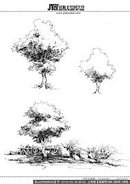 Trees Sketch Landscapedrawing Bomen Tekenen Boomtekening Tekentechnieken