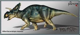 Albertaceratops Alberta Horned Face Extinct Animals Mammals Animals