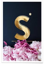 .at pictures of pretty blooms, we've rounded up tons of images of different types of flowers that will along with the names and pictures of the flowers, you'll find interesting details about the beautiful. Flower Alphabet S Poster Juniqe