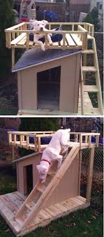 Diy Dog House With Roof Top Deck The Home Depot Community Dog House Diy Dog Houses Diy Dog Stuff