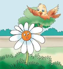 Binbirmasallar Papatya Ile Tarla Kusu Masali Papatyalar Tarim Kusu