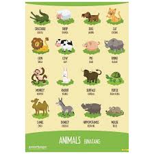 Poster Hewan Edukasi Anak Balita Paud Tk Mainan Posbel Gambar Binatang Ilustrasi Lucu Tipe 10 Shopee Indonesia