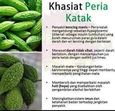 Extra peria mengandungi peria katak yang merupakan ensulin semulajadi dan ianya mampu menggantikan dan menambahkan ensulin dalam badan kita. Tercari Cari Peria Katak Asli Penawar Kencing Manis Facebook