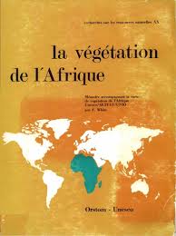 Image result for Monotes dasyanthus