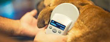 hunde registrierung stadt villach