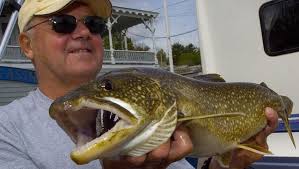 Tilton's Proulx leads Derby after Day 1